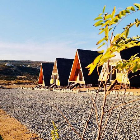 Ixchel Glamping Valle De Guadalupe Ensenada Room photo